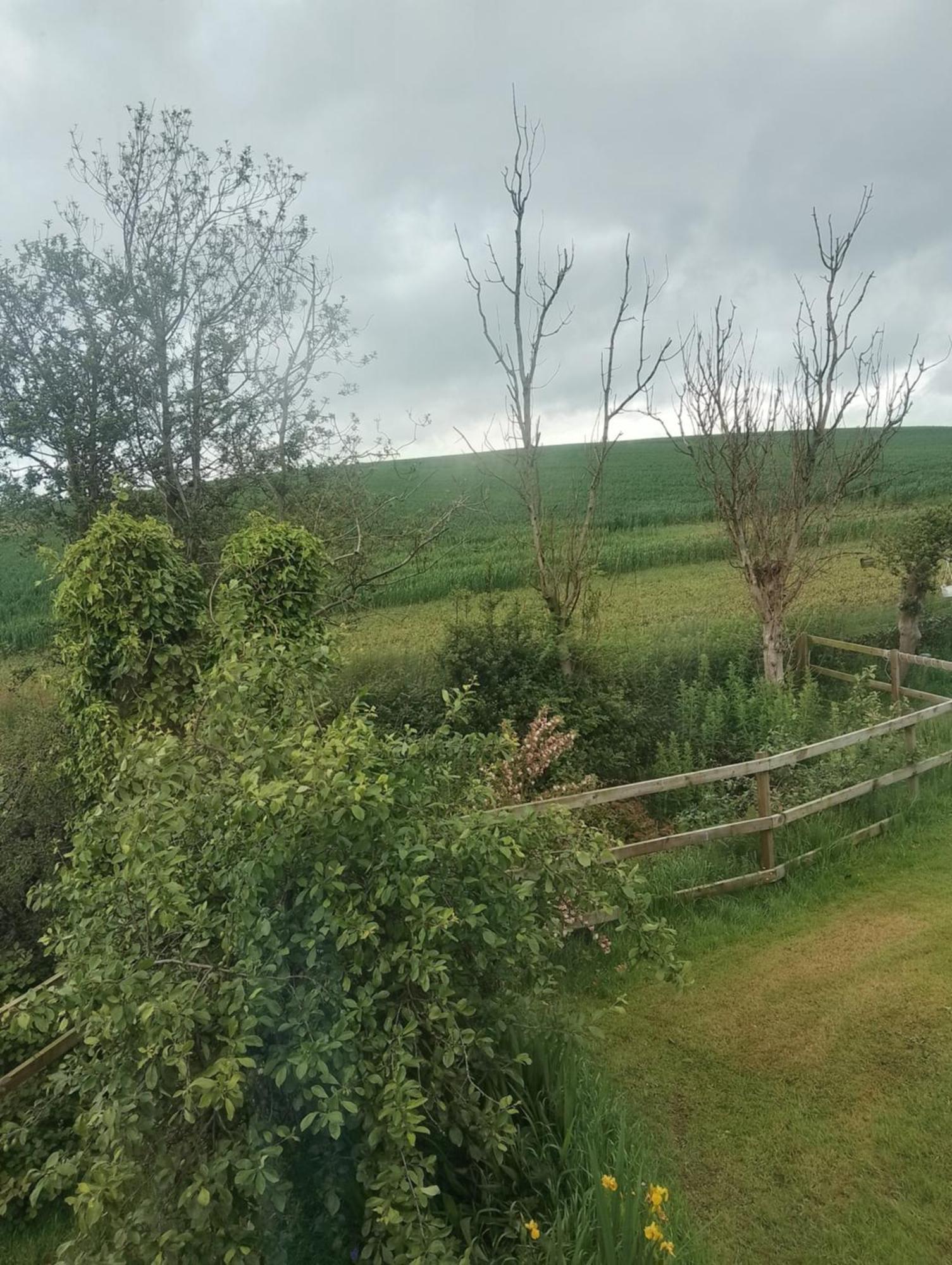 Rabbit Views Holiday home Gisburn